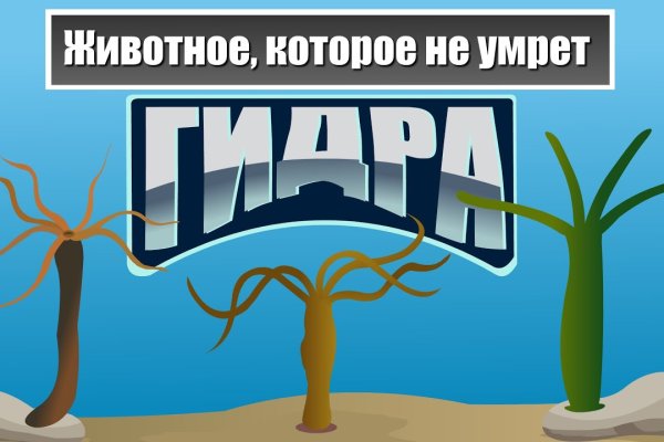 Знают ли власти про маркетплейс кракен