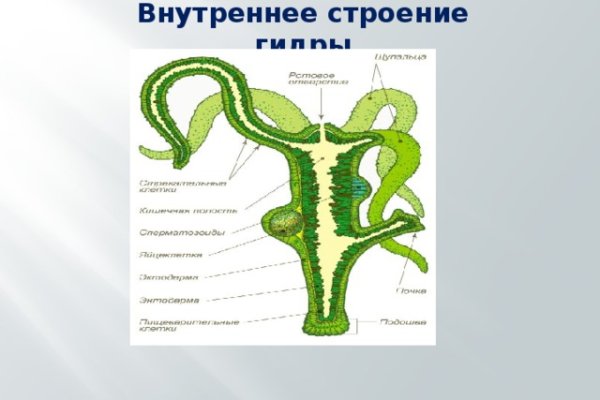 Сайт тор кракен